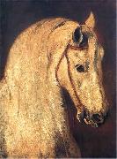 Piotr Michalowski Studium of Horse Head oil painting reproduction